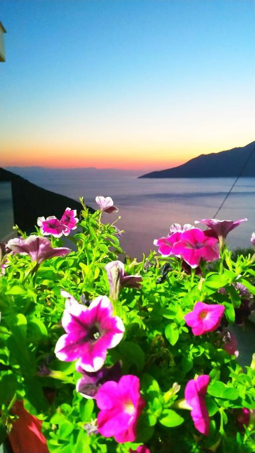 Alkyon Suites Agios Vasilios  Esterno foto